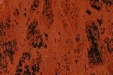 Polished Mahogany Obsidian Section - Mexico #153545-1